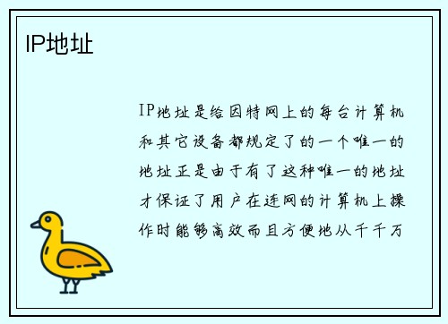 IP地址