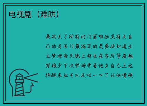 电视剧（难哄）
