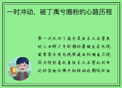 一时冲动，被丁禹兮圈粉的心路历程