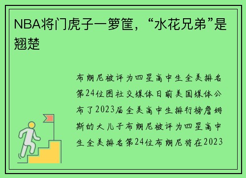 NBA将门虎子一箩筐，“水花兄弟”是翘楚