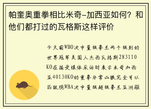 帕奎奥重拳相比米奇-加西亚如何？和他们都打过的瓦格斯这样评价